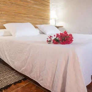 Aloe Vera Casa rural Huércal-Overa